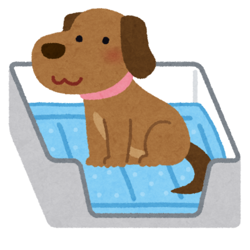 犬がおしっこシートで排泄しているイラスト