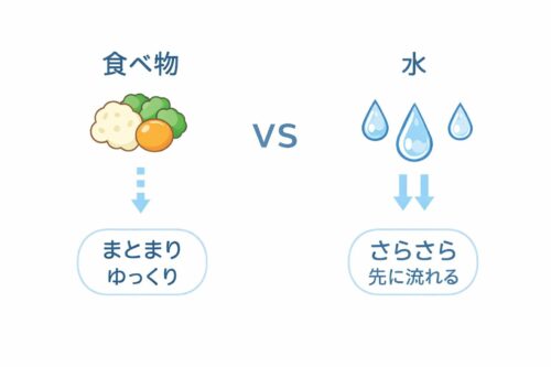 水と食べ物の飲み込みの違いを示すイラスト。食べ物はまとまりゆっくり進み、水はさらさら先に流れる